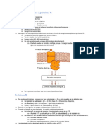 Receptores acoplados a proteinas g.pdf