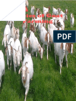 Basic of Goat Farming in India
