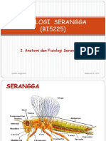 2.Anatomi Dan Fisiologi Serangga I