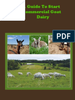 A Guide To Start Commercial Goat Dairy
