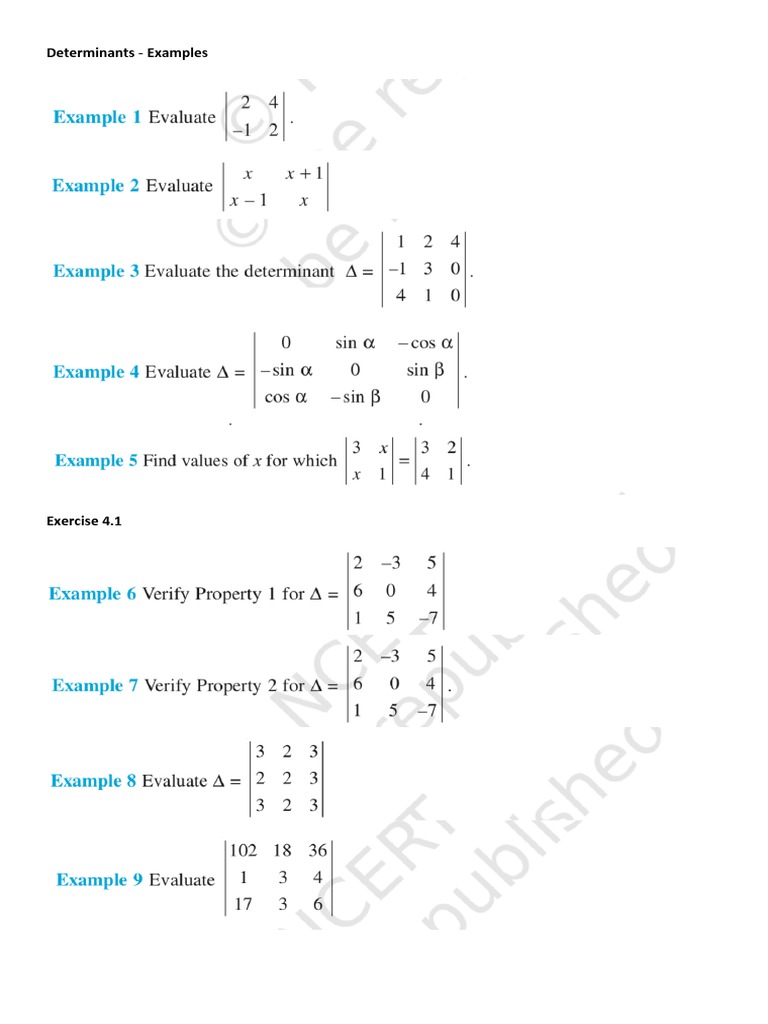 Determinants - Examples | PDF