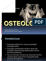 Anvet I - 02 - Osteologi