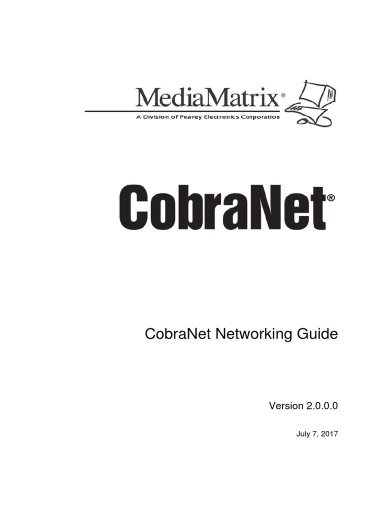 Networking Guide PDF Network Switch Port