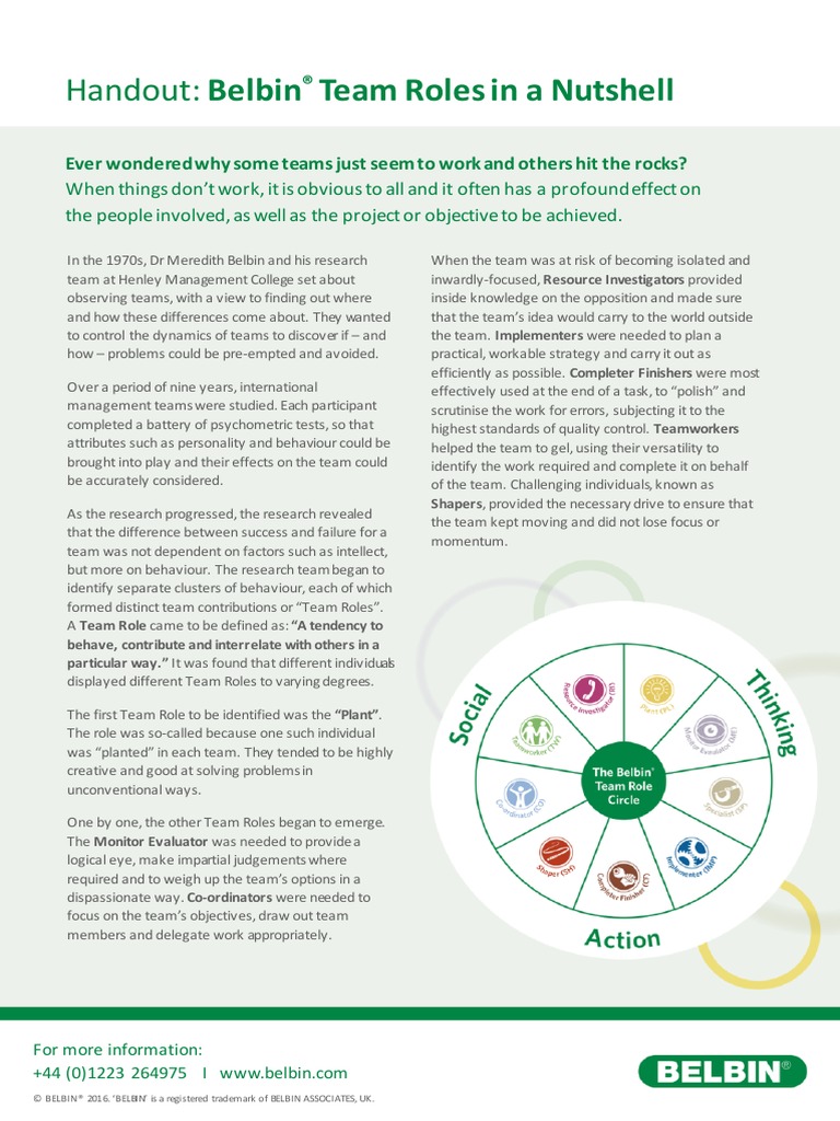 Team Roles in A Nutshell | PDF | Cognition | Psychology