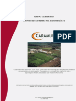 Grupo Caramuru: empreendedorismo no agronegócio