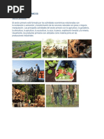 Sectores Económicos