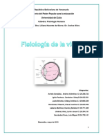 Informe Sobre La Fisiologia de La Vision