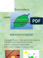 4-Photosynthesis.ppt