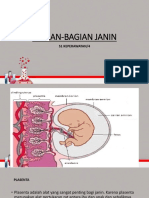 PLASENTA DAN BAGIAN-BAGIAN JANIN