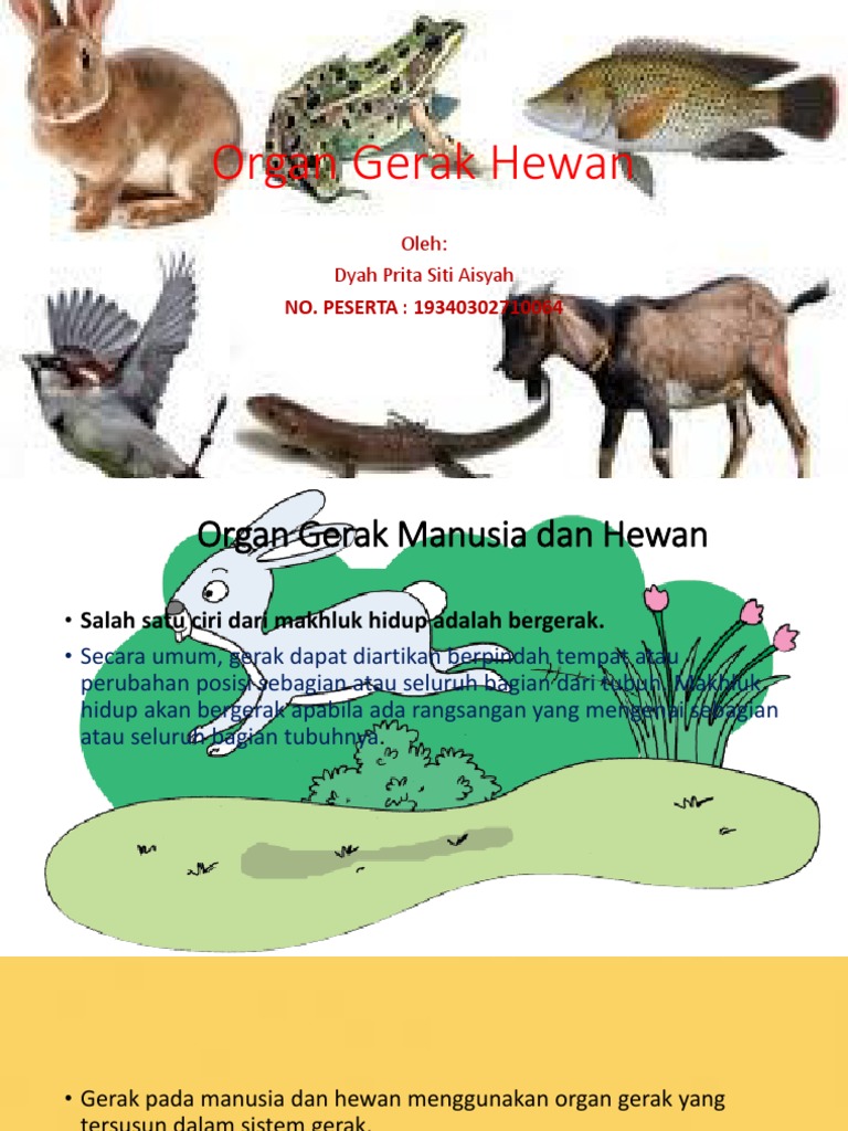  Organ  Gerak  Hewan  PPT 