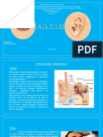 Semiologia de Boca y Oído