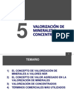 Valorizacion de Minerales y Concentrados