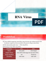 Rna Virus