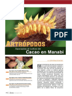 Dialnet-ArtropodosAsociadosAlCultivoDeCacaoEnManabi-6087699.pdf
