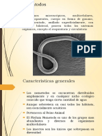 8.- Nematodos.pdf