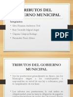 Tributos Gob. Municipal