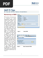 Sap Fi Tips 102010 - Iban