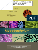 Mycobacterias y Bacterias Acido-Alcohol Resistentes Relacionadas