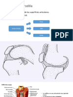 NEUROBIOMECANICAAA