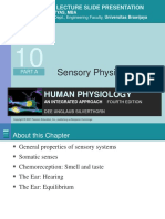 Sensory Physicql