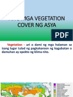 Ang Mga Vegetation Cover NG Asya