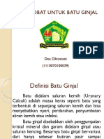 Tanaman Obat Untuk Batu Ginjal