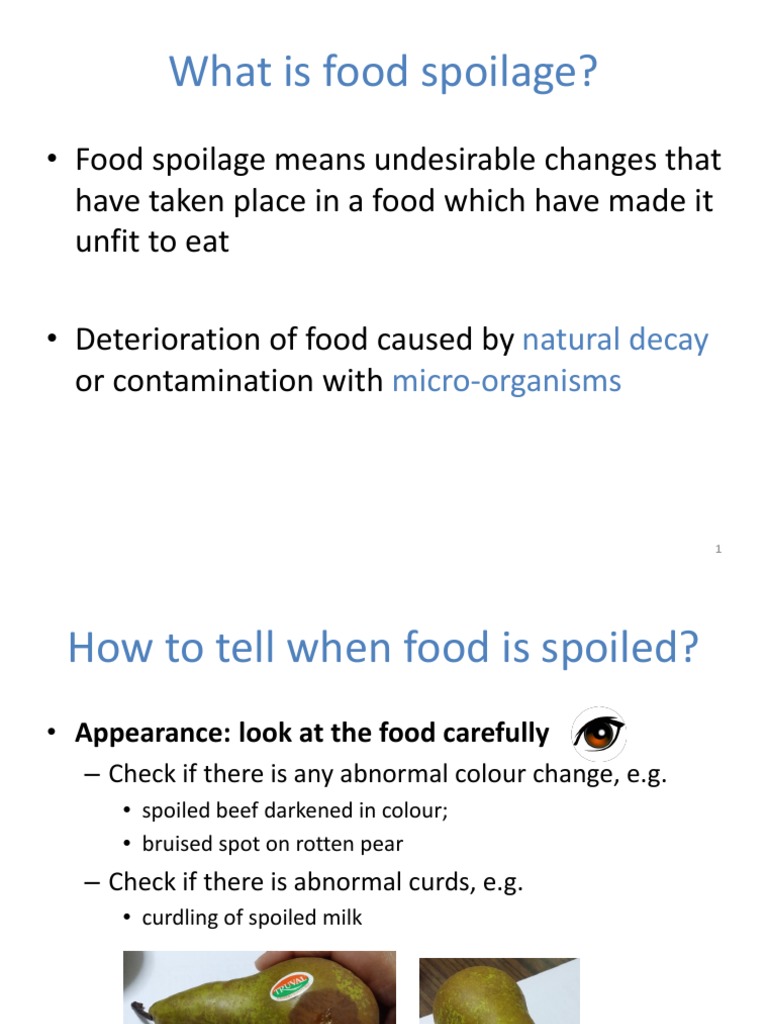 causes-and-effects-of-food-spoilage-pdf-mold-yeast