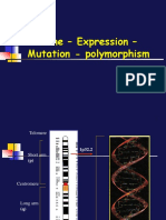 Gene - Expression - Mutation - Polymorphism