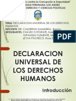 Declaracion Universal de Los Derechos Humanos