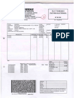 Combustible PDF