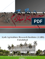 Ayub Agriculture Research Institude Presentation