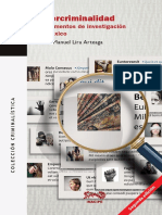 Cibercriminalidadfundamentos PDF