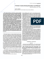 J. Biol. Chem.-1985-Ottaviano-624-32-3