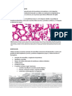 Resumen Patologia 2 NECROSIS