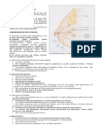 Anatomia e citologia da mama