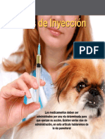AV_38_Tecnicas_Inyeccion.pdf