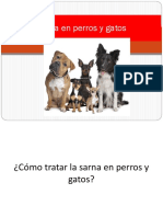 Sarna en Perros y Gatos