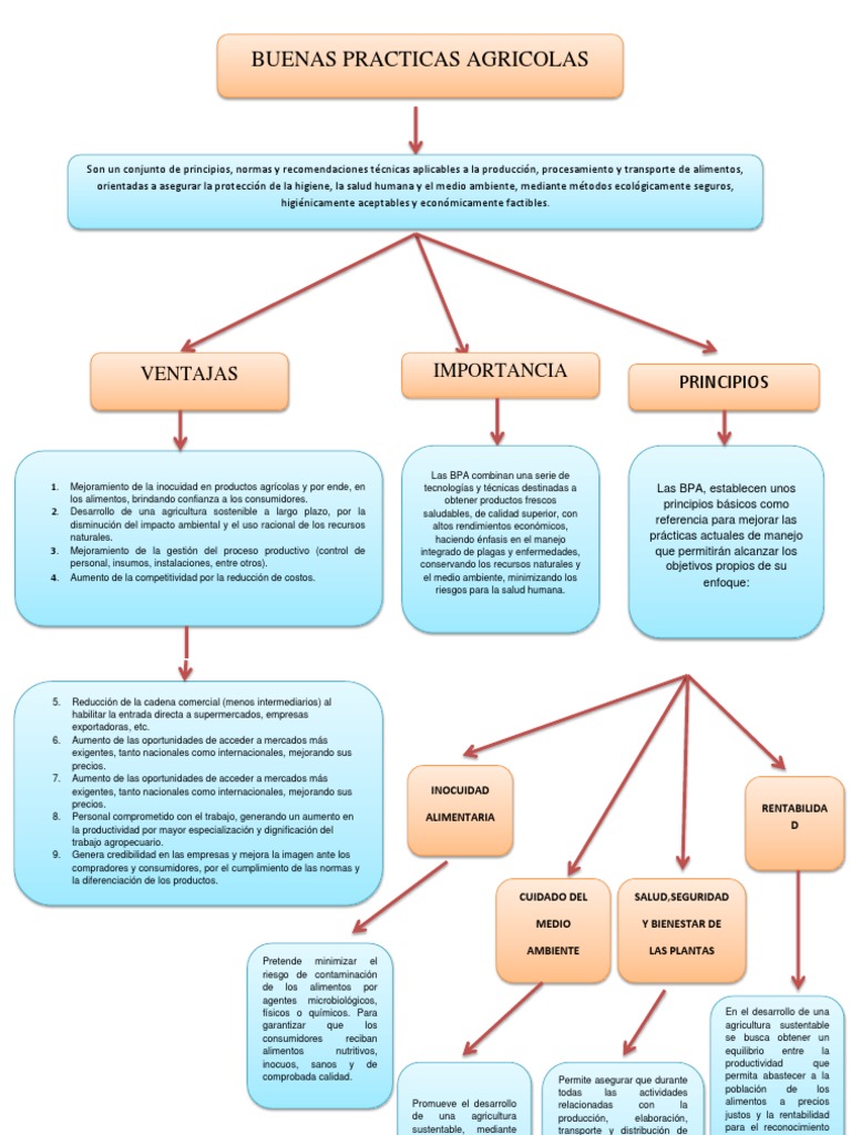 Mapa Conceptual Buenas Practicas Agricolas Agricultura