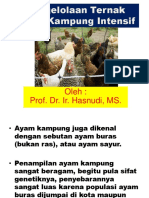 Pengelolaan Ternak Ayam Kampung Intensif: Oleh: Prof. Dr. Ir. Hasnudi, MS