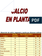 Pos CA en Plantas