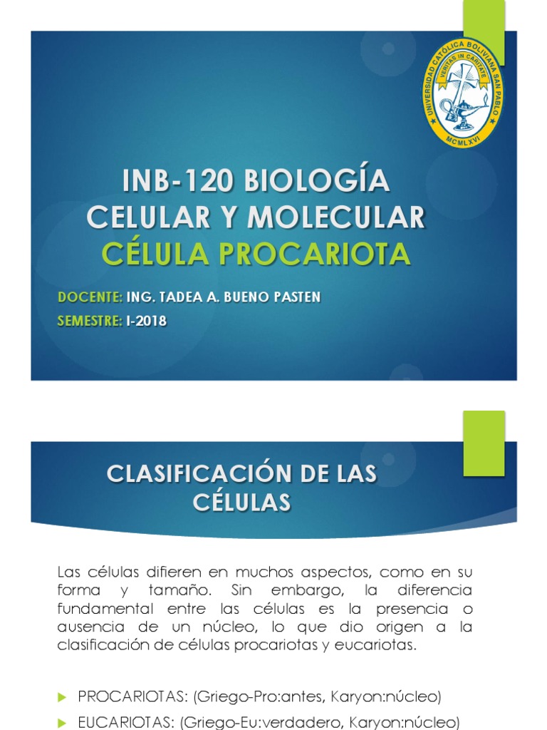 3 Procariotas | PDF | Las bacterias | Procariota