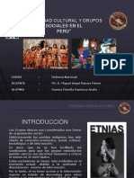 Etnicidad Cultural y Grupos Sociales