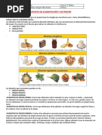 Guia Nutrientes 5to Basico