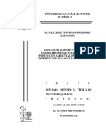 tesis_alanis_hernandez.pdf
