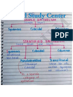 Epithelium Notes (Histology) by Medical Study Center