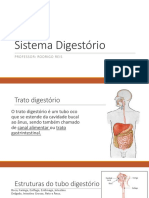 Sistema Digestório, Respiratorio, Nervoso e Sensorial