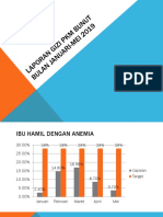 Laporan Gizi PKM Bunut