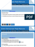 Sistem Pencernaan Pada Manusia Fixppt