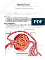 Glomerular Iltration PDF