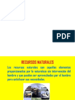 Recursos Naturales Del Peru